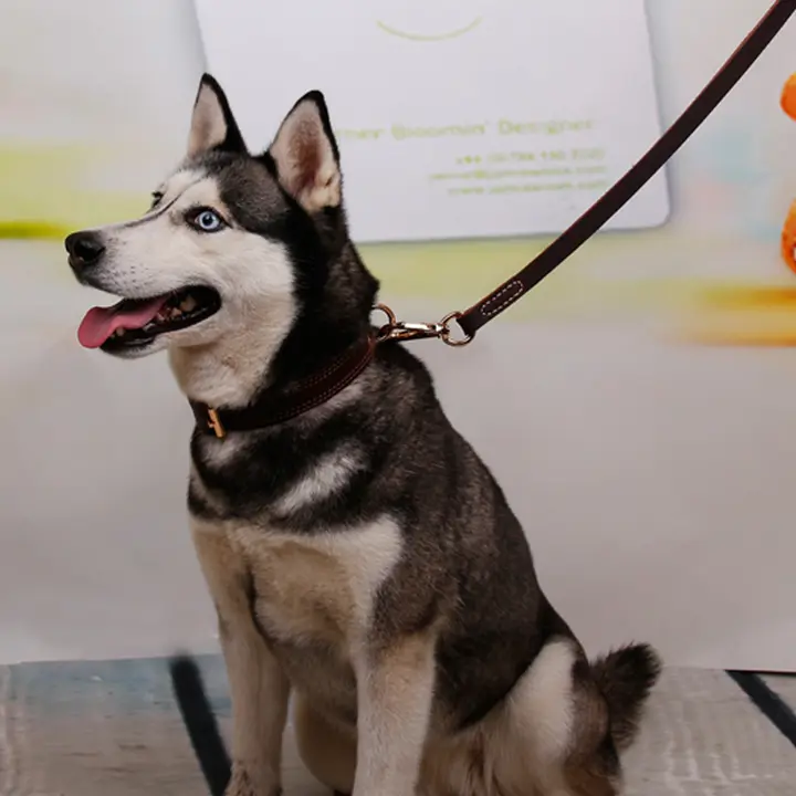 本革製中型犬用リード【極上の柔らかさ・耐久性あり】