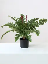 フェイク植物 小さな鉢植え 装飾オブジェ 円形 室内に適した 緑色