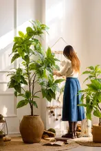 大型フェイクグリーン 植木 月桂樹【インテリア装飾・室内用・リアルなデザイン】