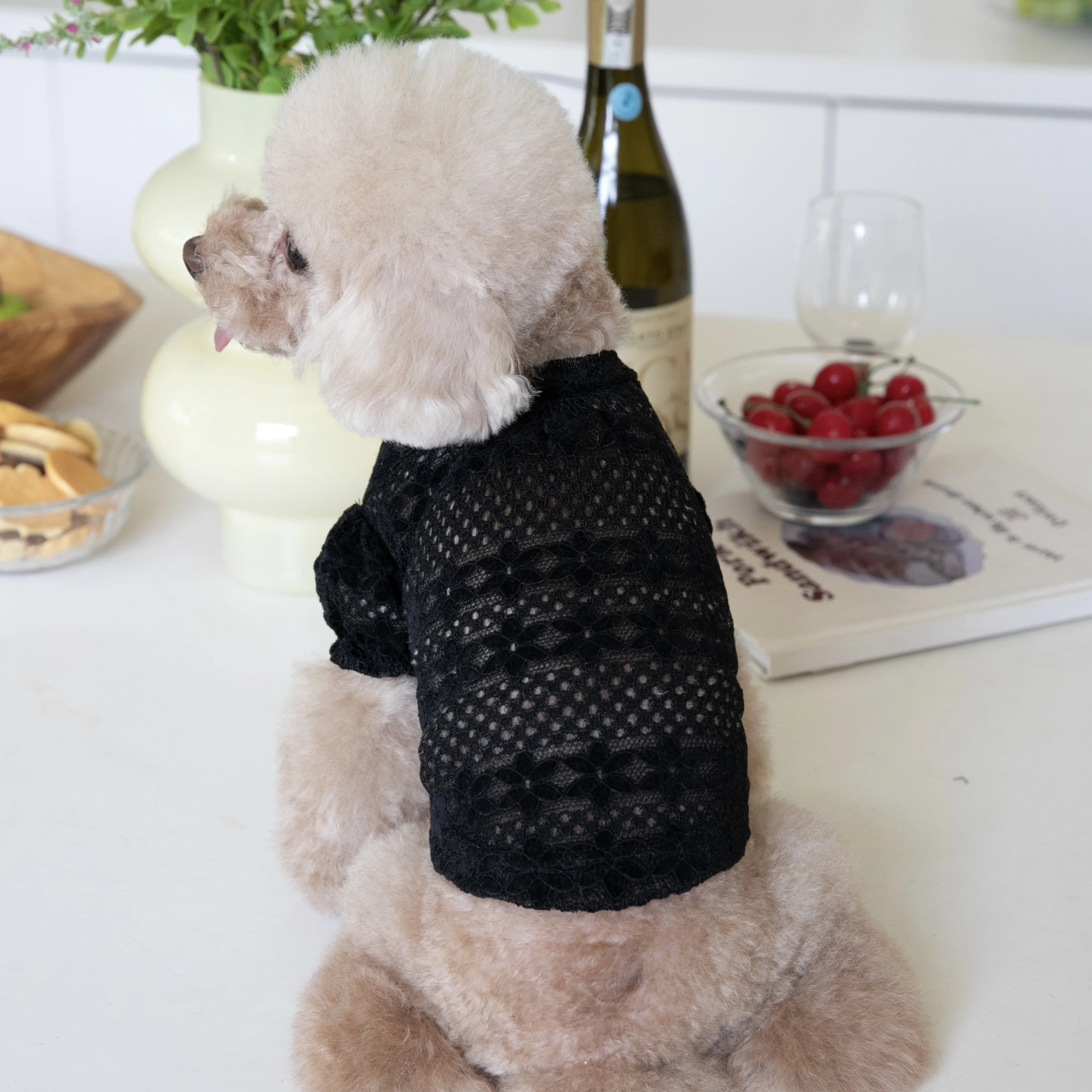 大型犬を飼うなら、どんな服が「飼いやすさ」を支えるの？
