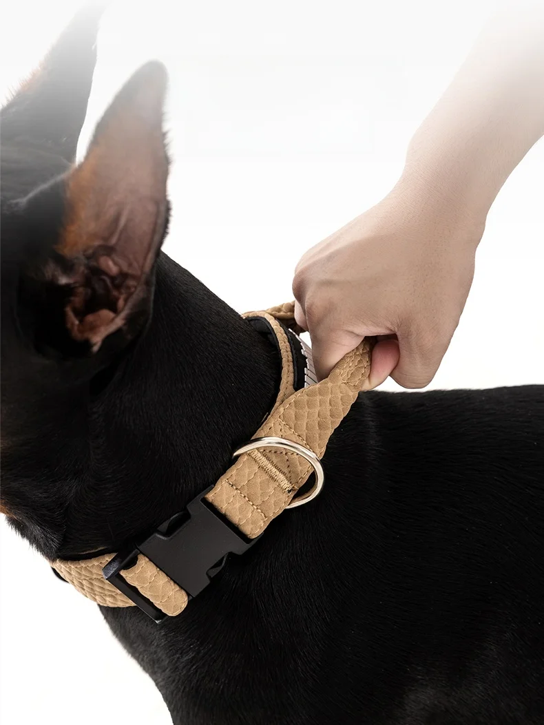 犬首輪とは何か：hipidog大型犬用首輪の設計と実用性を解説