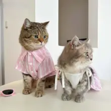 ペット サロペット ワンピース 猫 犬 使用シーン 綿 ピンクストライプ 可愛いスタイル