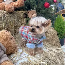 格子柄で防風機能付きの犬用コート【加毛タイプ・秋冬用・クリスマス向け】
