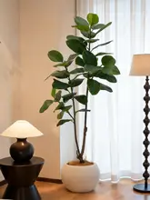 フェイクグリーン 大型鉢植え インテリア 装飾 フェイクツリー フィドルリーフ