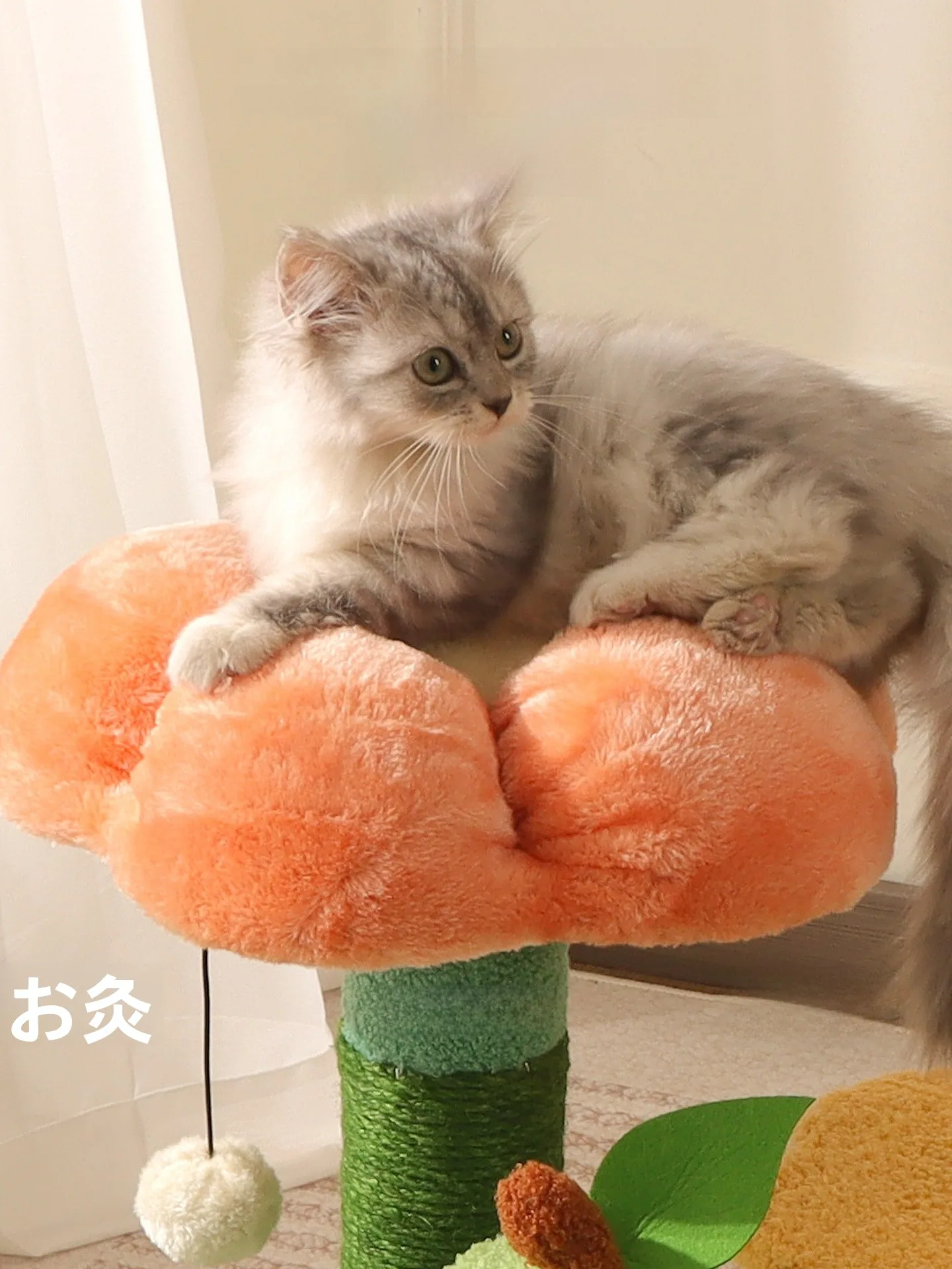 コンパクト猫タワー：一人暮らし向けの省スペース設計と爪とぎ付き機能