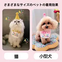 ペット用 誕生日パーティー用ネックバンドと犬用帽子【ケーキ用数字キャンドル・フォトプロップス付き】