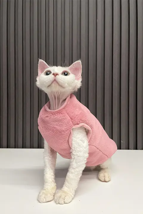 スフィンクス猫用毛無衣服【カラフル・ウサギ毛ベスト・保温性・抜け毛防止】