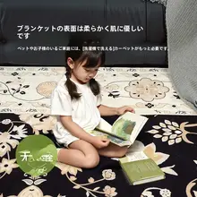 フランス風レトロデザインの洗えるラグ【リビング用・ソファ・テーブル・寝室対応】