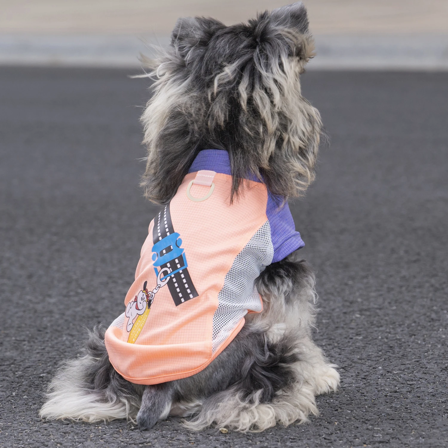 ペット用夏用服【アイスシルク・四足・防塵パンツ・涼感・紫外線対策】：初心者向けの快適な外出環境を実現