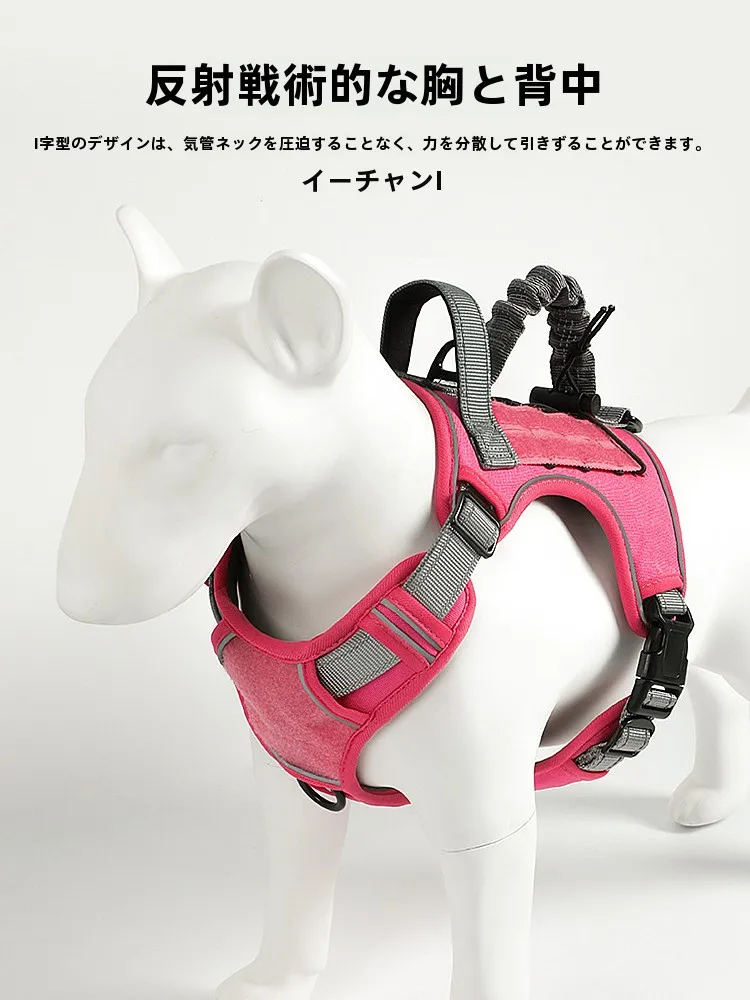 犬のお散歩グッズをコスパ良く揃える方法　完全ガイド