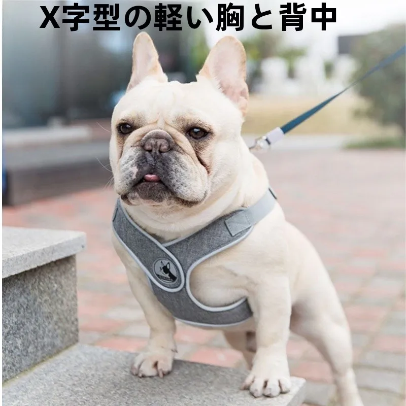 フル活用した節約生活のコツ｜使い方で価値を倍増させるアイテムの徹底解説