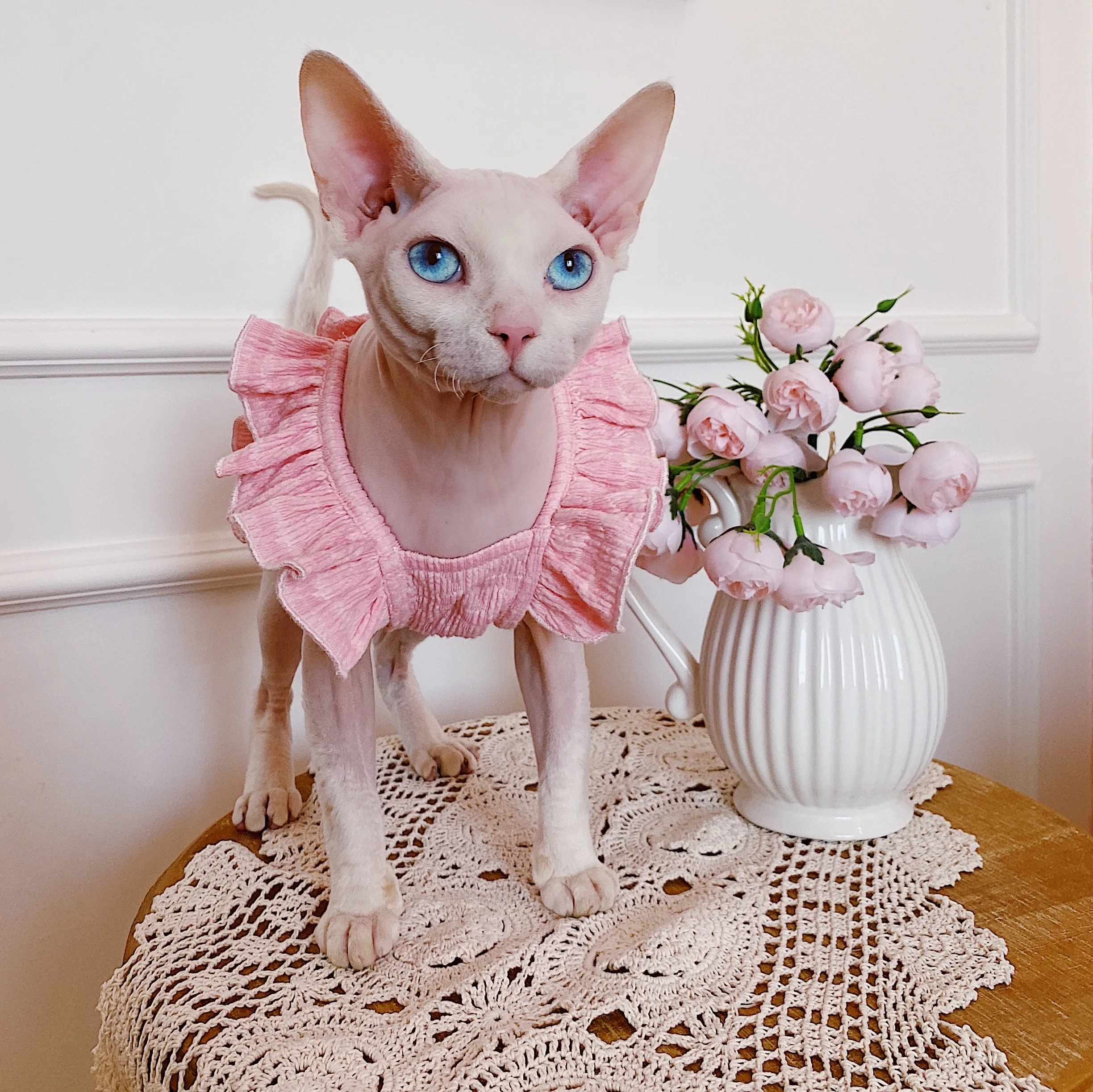 猫dollとは何か？人形とどう違うの？なぜ今、スフィンクスのフリル袖が人気なのか？