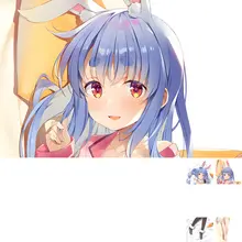 ウサギデザインの抱き枕【新衣装・ハーフサイズ】