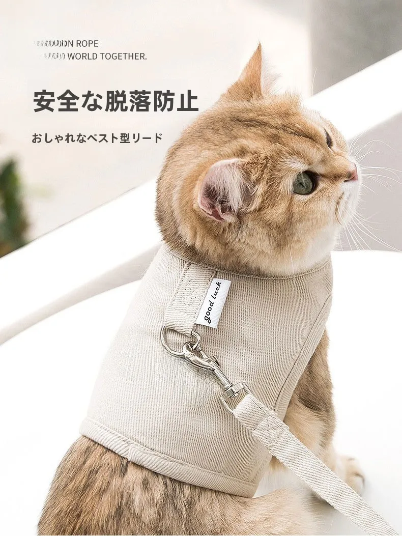 犬のお散歩グッズをコスパ良く揃える方法｜本革マーブルリードで散歩の質を変える完全ガイド