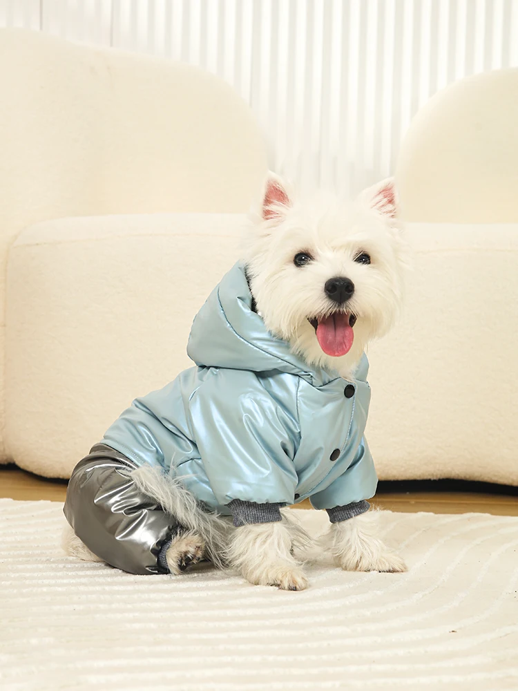 犬のお散歩グッズをコスパ良く揃える方法 - 冬用厚手コートの保温性能とサイズ選定ガイド