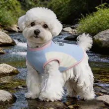 犬用涼感ウェア【夏用・小型犬・薄手・散歩対応】