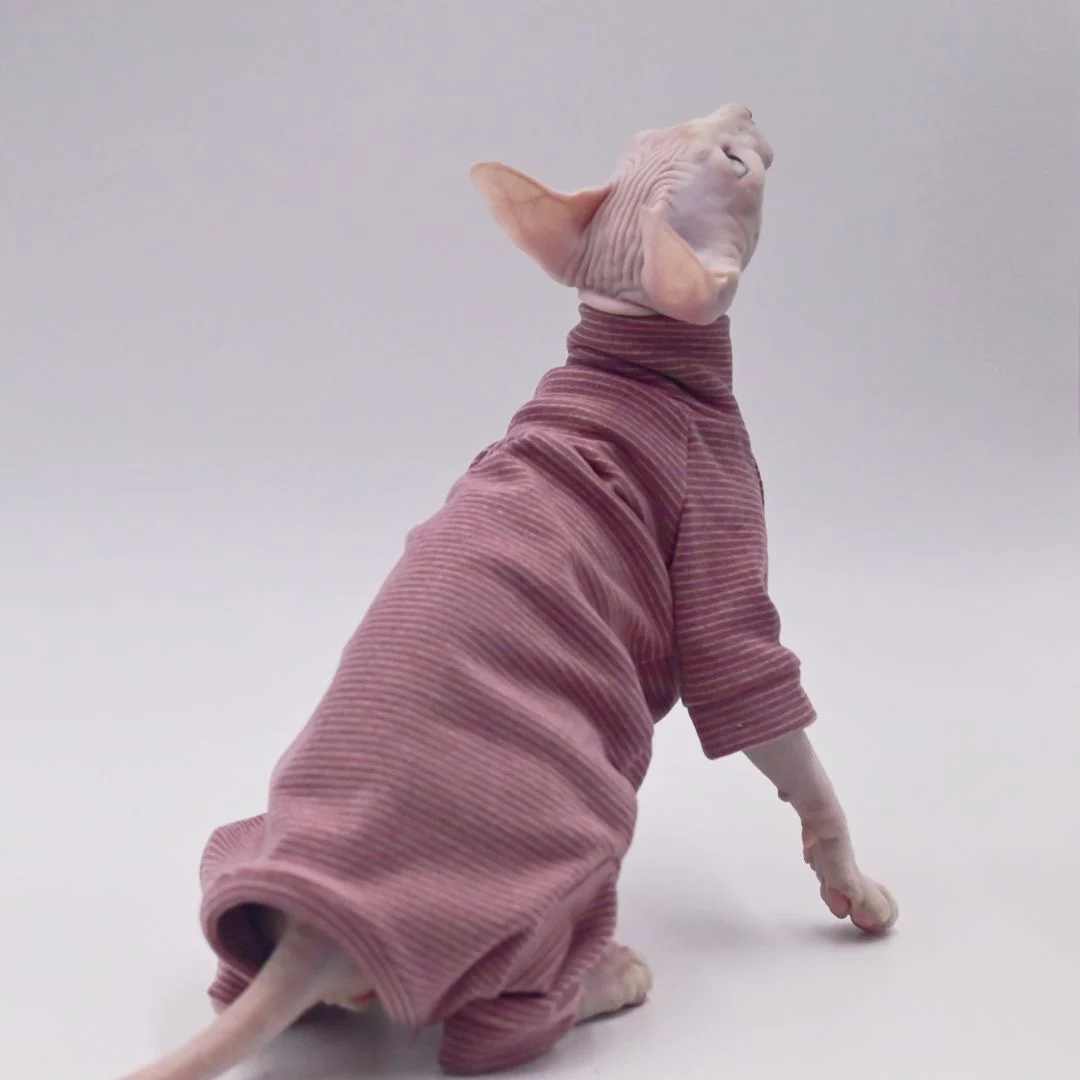 猫飼いが買ってよかったもの・悪かったもの正直に言う - スフィンクス猫用四脚エコファーオールインワンのサイズと特性