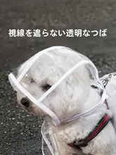 犬用レインコート【透明・小中型犬用・防水デザイン・テディベアタイプ】