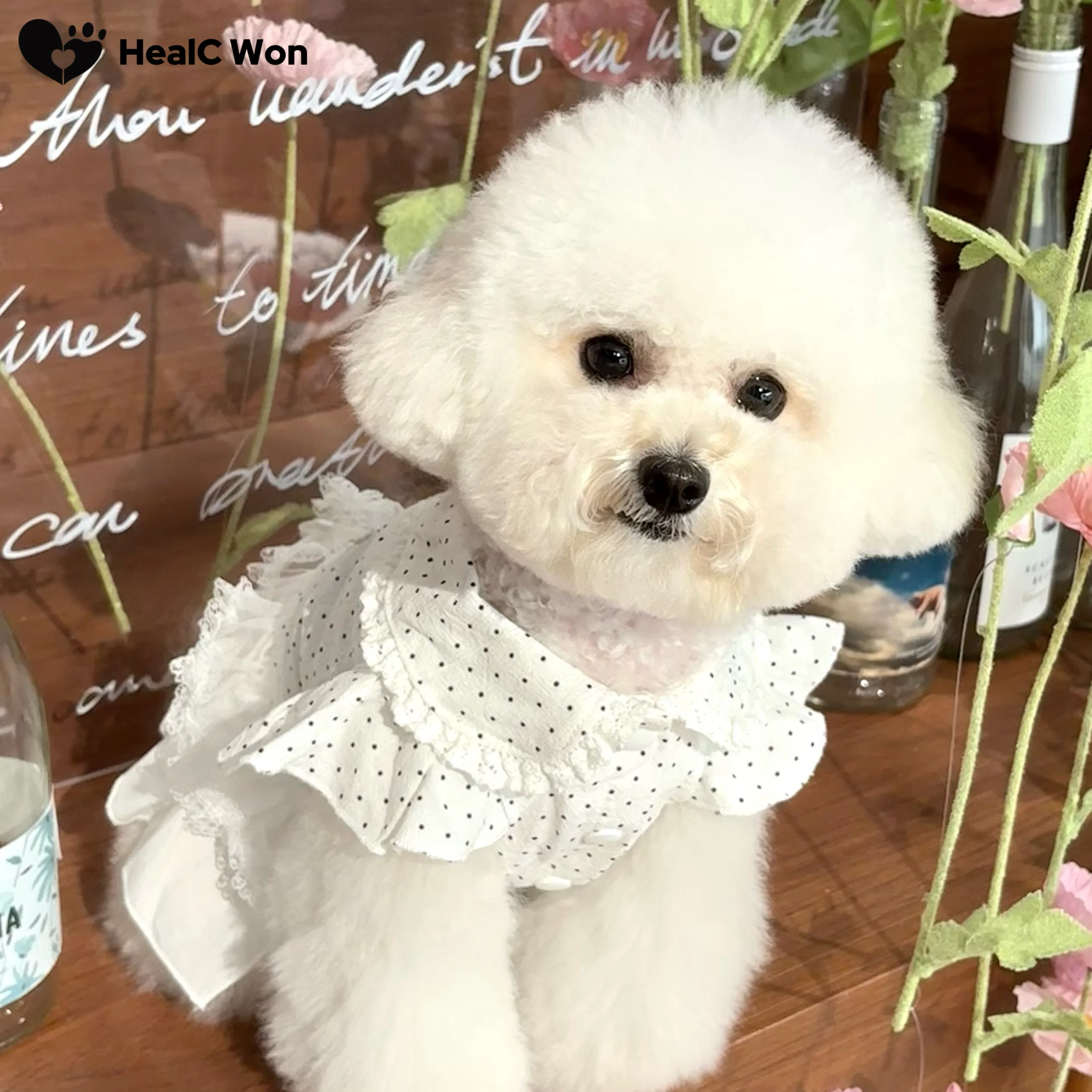 子供向けペットの小動物ファッションでおすすめなドレスは？