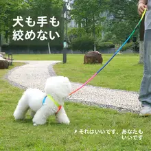 グラデーションレインボー犬リード【小型犬用・ハーネス・外出用】