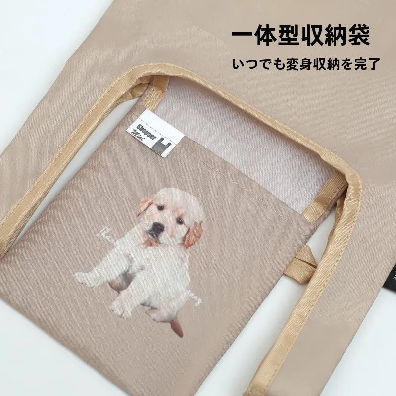 持ち手付きカゴを買うべきなのか？100均のエコバッグが本当に役立つ理由とは？