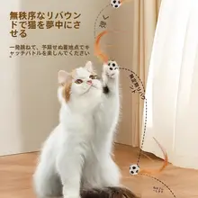 猫用運動ボール【フェザー付き・解消・エクササイズ用】