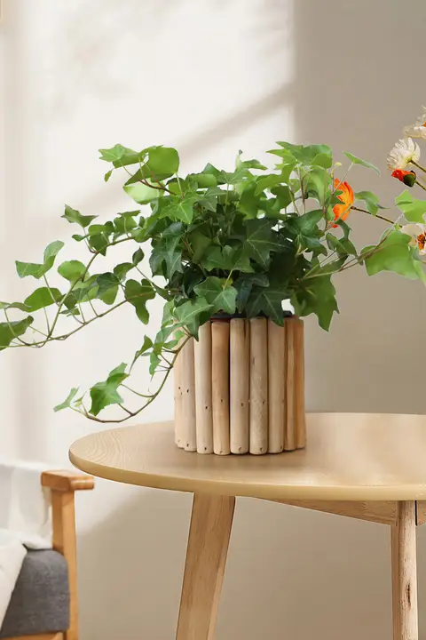 レトロデザインの小花瓶【インテリア装飾・水耕栽培・テーブル用】