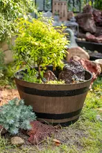 木桶風プランター 大型 樹脂 ビンテージ ガーデン バルコニー