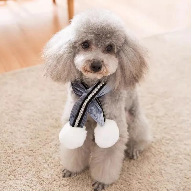 毛糸編みの愛らしい犬用ボンボンスカーフ：冬用暖かさとかわいさのバランスを実現
