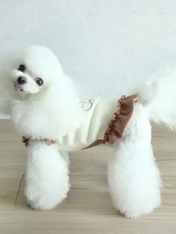ワンピース犬を買うなら、どんなアイテムが最適？