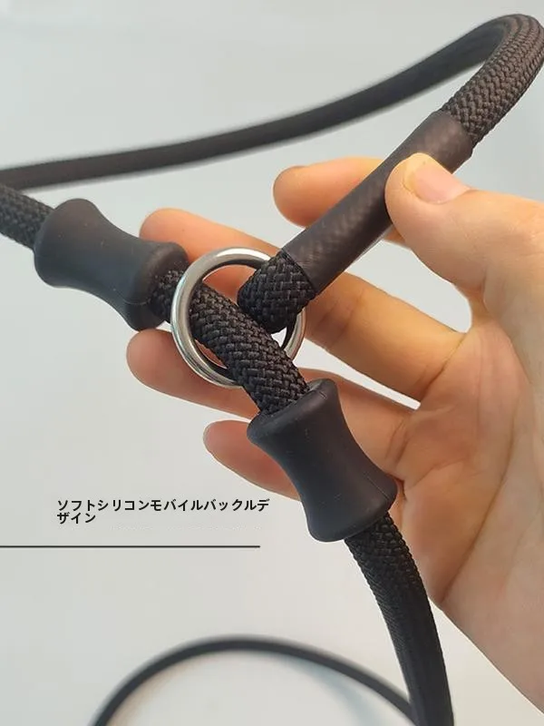 犬のお散歩グッズをコスパ良く揃える方法　P型リードの選び方と実際の使い心地