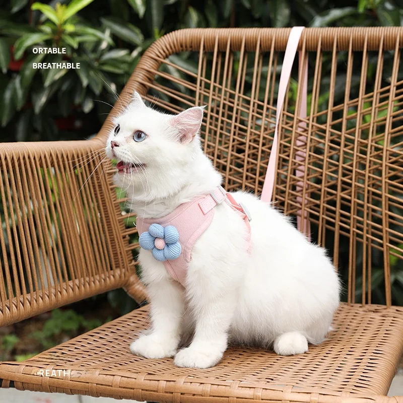犬のお散歩グッズをコスパ良く揃える方法　完全ガイド