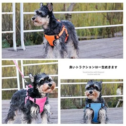 犬のお散歩グッズをコスパ良く揃える方法｜ハーネス付きリードの実測ガイド