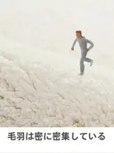 シンプルな円形ラグ【リビング・モダンデザイン・冬用・クッション性あり】