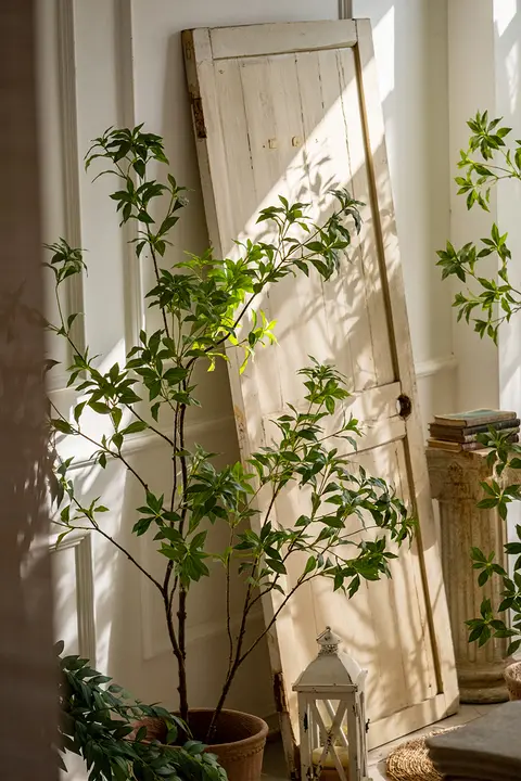高級感あるリアルな緑の吊り植物【インテリア用・マズイキ・落地型】
（セットアップ対応）