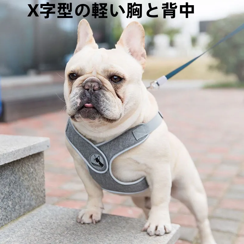 キャンプ道具を節約調達｜実際に使ってみた結果 - アウトドア用折りたたみ椅子の実用性と価格戦略