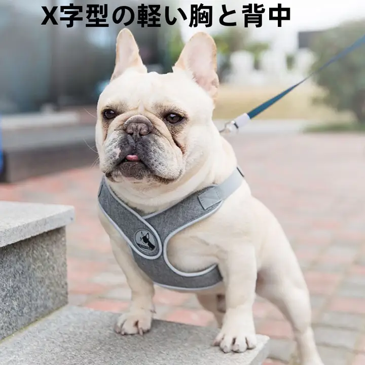 犬用ハーネス付きリード【フレンチブルドッグ・コーギー・テディベア・柴犬対応】