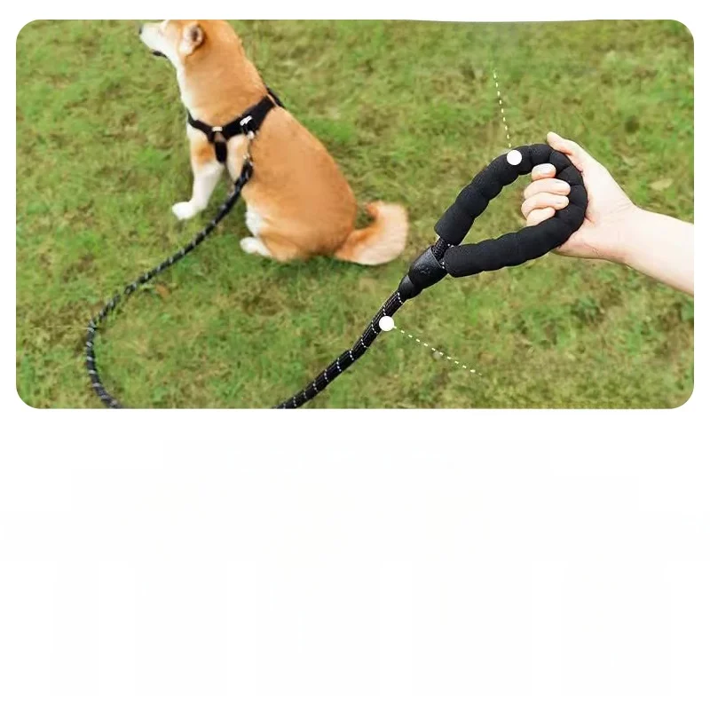 ペット用リード【小中大型犬対応・調整可能・テディ・コーギー・柴犬】の実用性と選び方