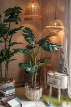 大型リアルグリーン植物 モンステラ【インテリア用・室内用・飾り用】