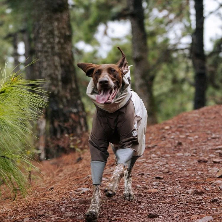 犬のお散歩グッズをコスパ良く揃える方法｜防水透湿レインコートの実際の使い方と選び方
