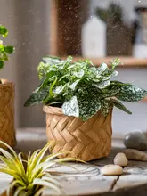 ミニ花壇風のコンクリート製フラワーベース【グリーン植栽・デスク用・小型】