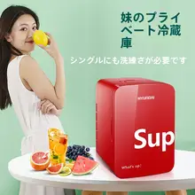 ミニ冷蔵庫 家庭用 一人用 小型 美容 母乳 保存