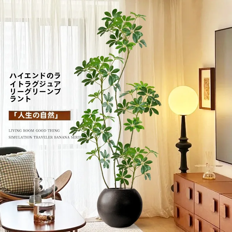 韓国カフェ風インテリアを再現するための高級感観葉植物の選定ガイド