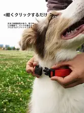 防水犬用リード【ハーネス付き・トレーニング用・短めタイプ】