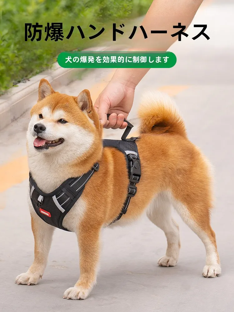 インテリアグッズ比較レビュー｜犬用ハーネス付きリードの選び方と安全機能徹底解説
