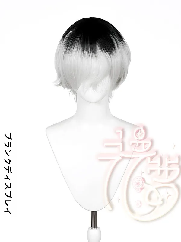 白髪まとめ髪に最適なコスプレ用カラーウィッグ【特別調合・ふんわりトップ】の実用性と使い方