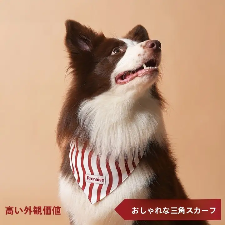 ペット用 おしゃれな三角巾【猫・犬用・撮影アクセサリー・ハロウィンカラー】