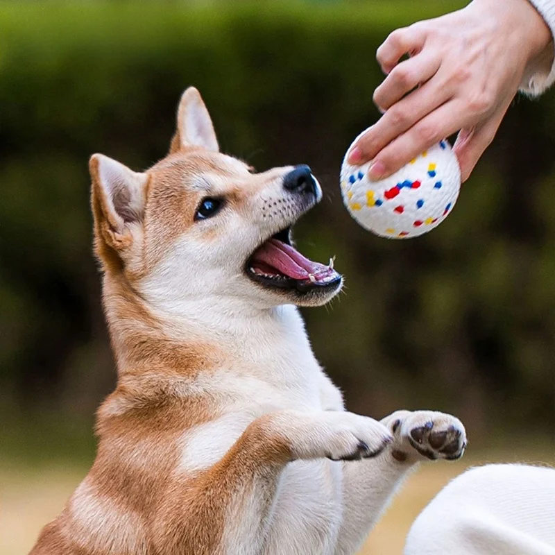 XPAWS 犬用耐久噛み付きおもちゃボール：9ヶ月おもちゃとしての長時間遊べる実用性と安全性