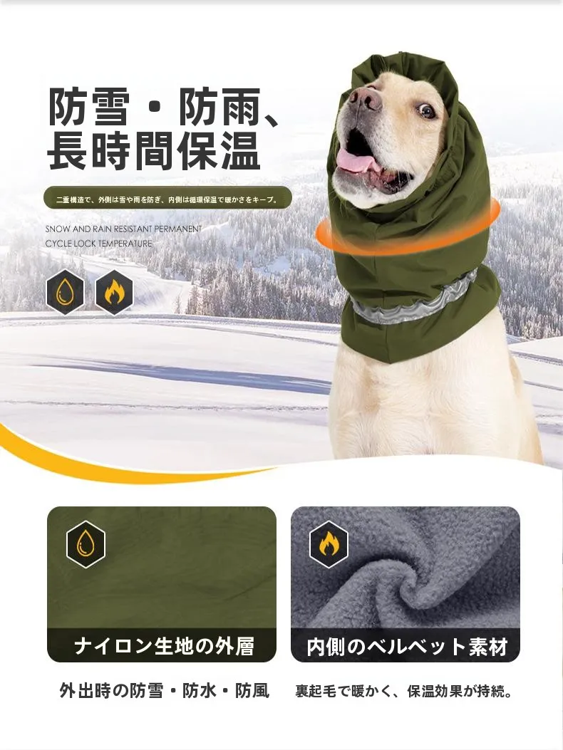 中型犬用ドッグフードを選ぶときに、本当に大切なのは何？