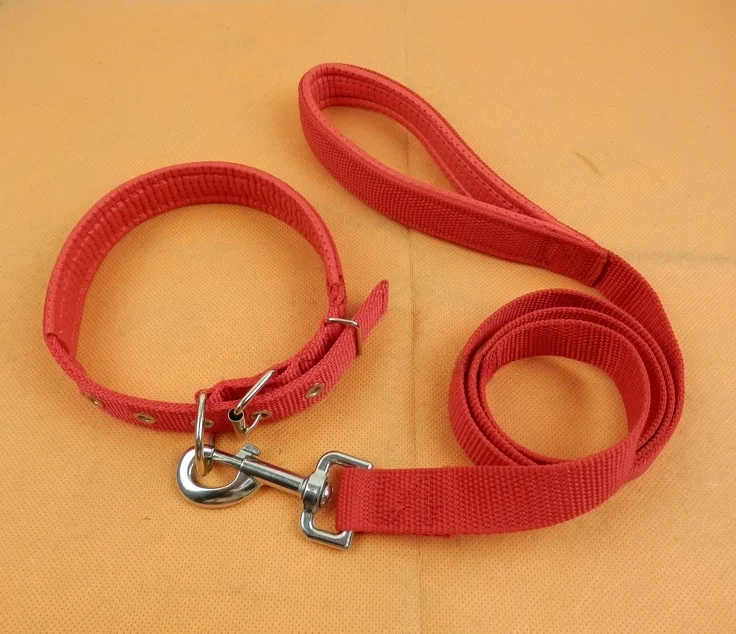 犬のお散歩グッズをコスパ良く揃える方法　完全  ガイド
